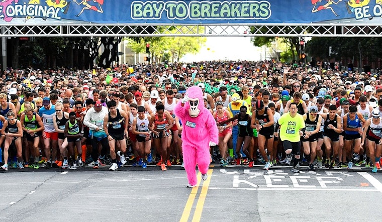 SF weekend: Wine tasting at Pier 39, Harvey Milk art tribute, Bay to Breakers, more