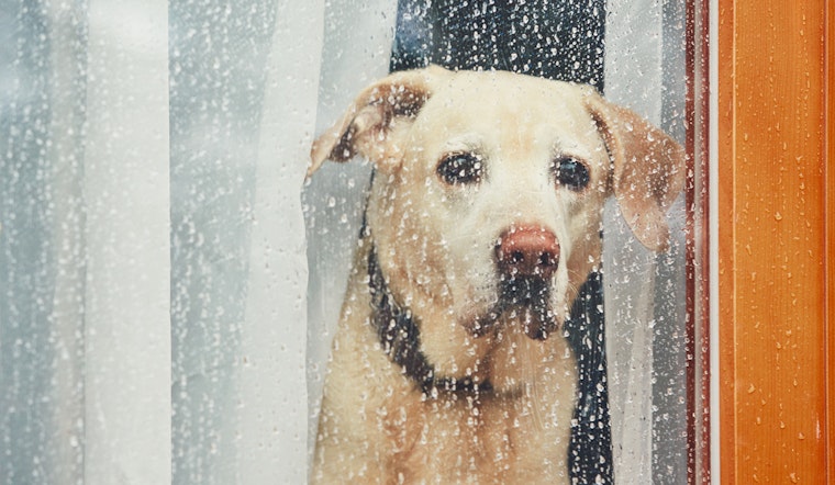 More rain in store for San Jose
