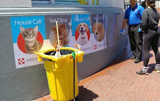 Castro Residents Put 'VetPronto' In The Doghouse Over Unwanted Flyers