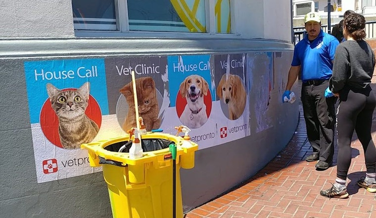 Castro Residents Put 'VetPronto' In The Doghouse Over Unwanted Flyers