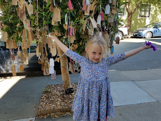 Like Magic, Noe Valley's Wishing Tree Brings Neighbors Together