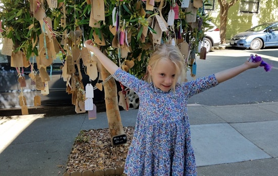Like Magic, Noe Valley's Wishing Tree Brings Neighbors Together