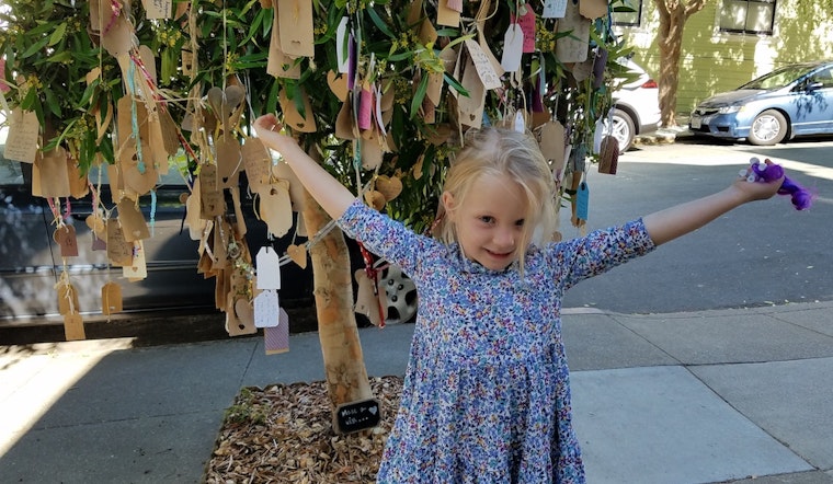 Like Magic, Noe Valley's Wishing Tree Brings Neighbors Together