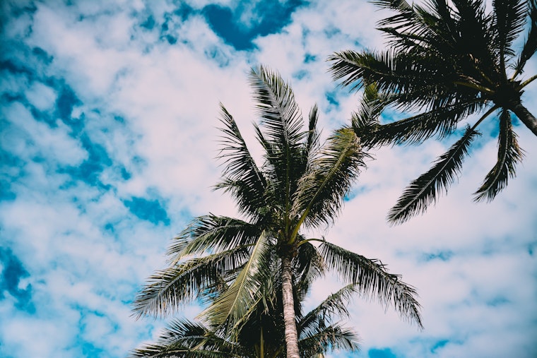 Downtown Miami vs. Miami Beach: Where's the living better?