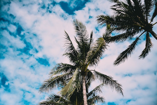 Downtown Miami vs. Miami Beach: Where's the living better?