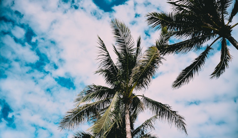 Downtown Miami vs. Miami Beach: Where's the living better?