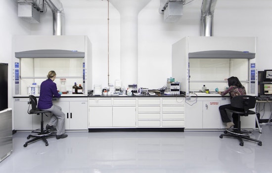 Boston companies are seeing a wave of new investments