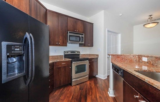 What will $1,200 rent you in Downtown, this month?