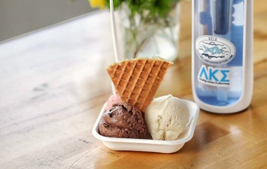 Get the scoop on the top 5 spots for frozen treats in Nashville