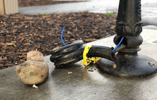 Vandal smashes dog water stations in Alamo Square Park