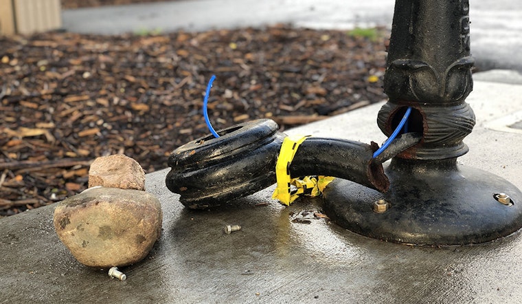 Vandal smashes dog water stations in Alamo Square Park