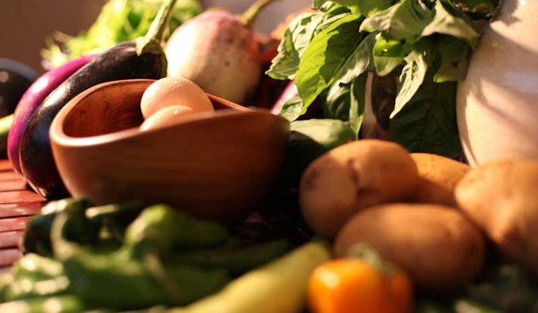 Free Produce at Hayes Valley Farm