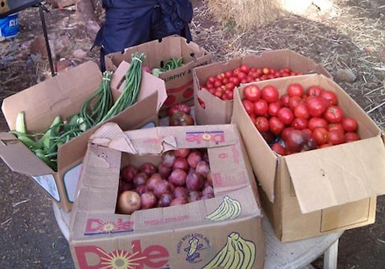 Reminder: Free Produce at Hayes Valley Farm Today