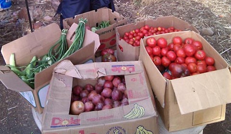 Reminder: Free Produce at Hayes Valley Farm Today