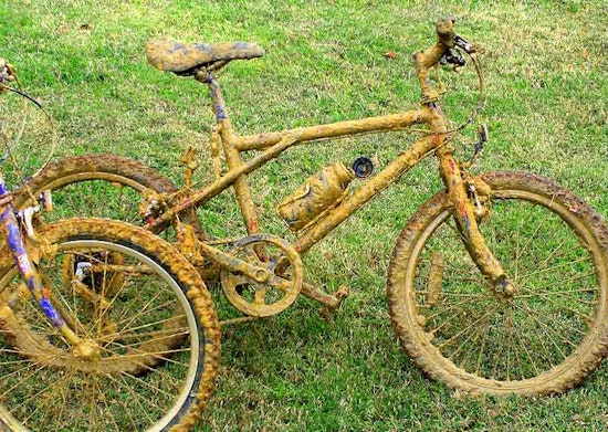Free Bike Wash Tomorrow