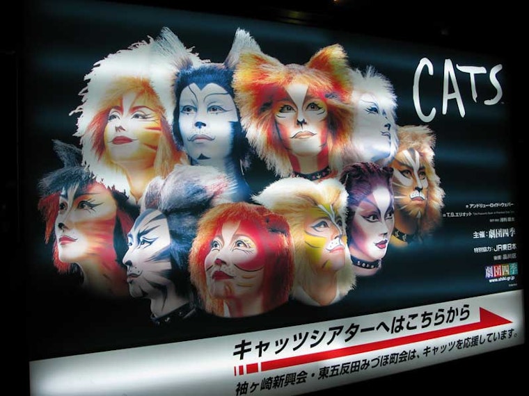 Feral Cats! Part Two!