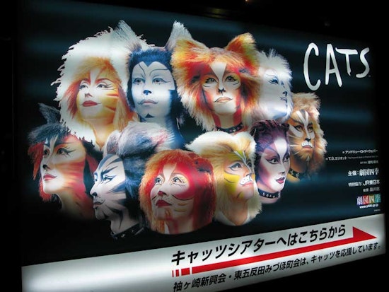 Feral Cats! Part Two!