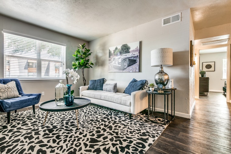 Renting in Dallas: What's the cheapest apartment available right now?