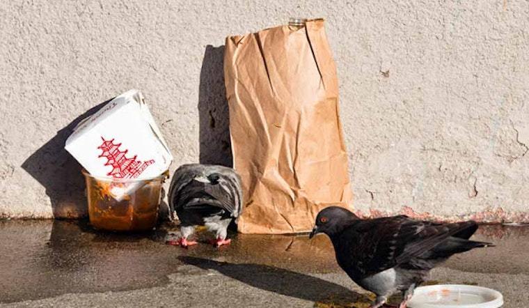 Lower Haight Leftovers: 8/20 Edition