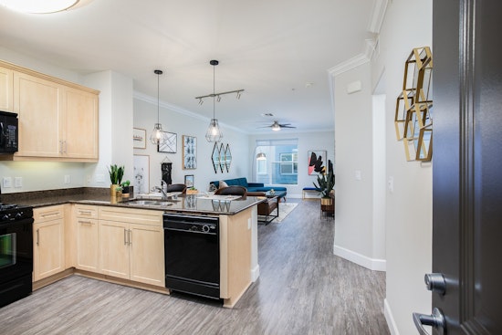 The cheapest apartment rentals on the market in the Platinum Triangle, Anaheim