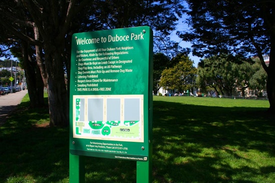 Man Assaulted in Duboce Park