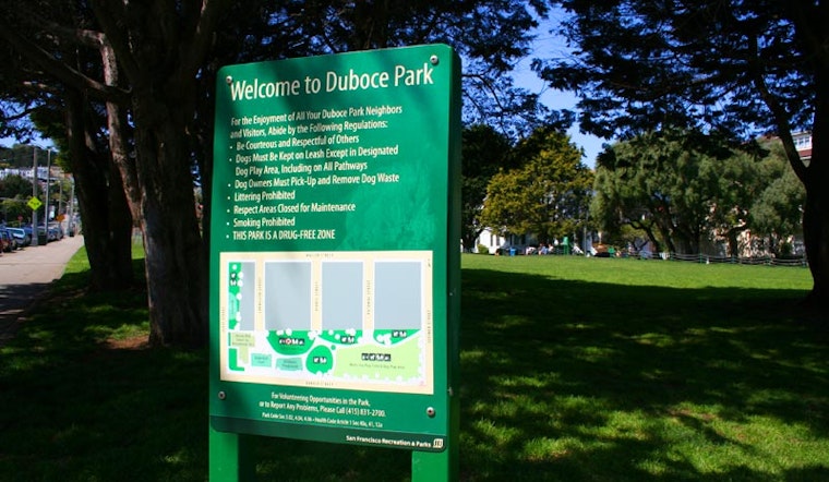 Man Assaulted in Duboce Park
