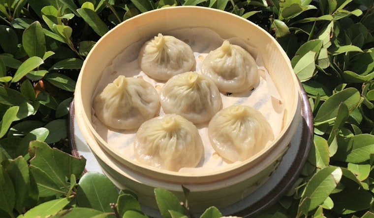 Trendy Dumpling brings noodles and more to Greenway / Upper Kirby Area