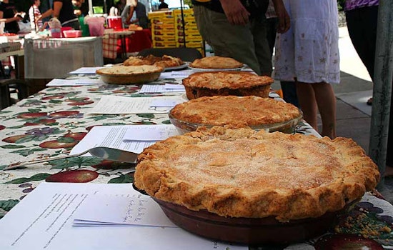 Scenes from a Pie Contest