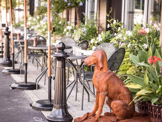 Woof:  7 Dog-Friendly Restaurants And Bars In Philadelphia