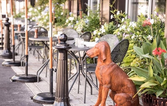 Woof: 7 Dog-Friendly Restaurants And Bars In Philadelphia