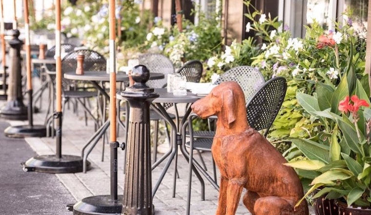Woof: 7 Dog-Friendly Restaurants And Bars In Philadelphia