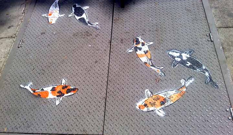 Return of the Koi