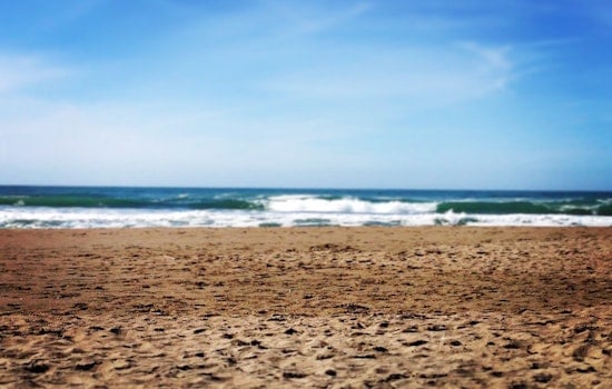 Playland's 1st Artist-In-Residence Debuts Ocean Beach-Inspired Artwork