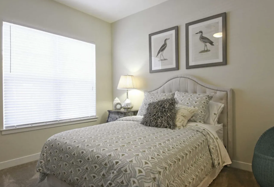 Renting in Virginia Beach: What will $1,700 get you?
