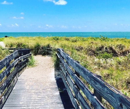 Miami's Best Urban Hikes—And Where To Brunch Afterwards