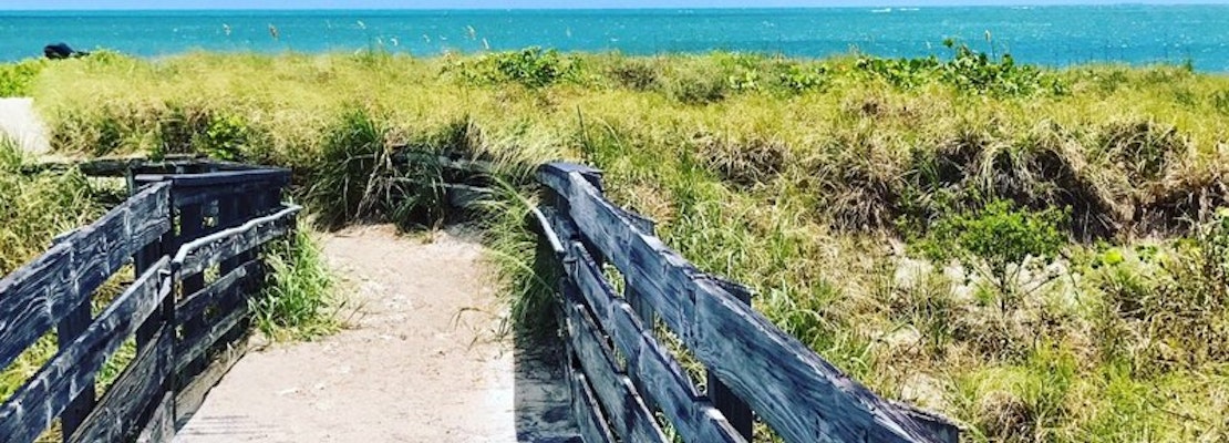 Miami's Best Urban Hikes—And Where To Brunch Afterwards