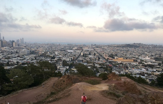 The Scenic Route: 'Urban Hiker SF' Leads Locals, Tourists Off The Beaten Path