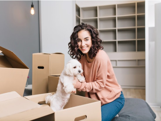 How Much Extra Rent Do SoMa Dog Owners Pay Each Month?