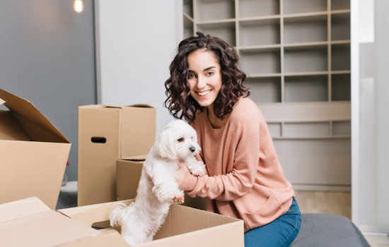 How Much Extra Rent Do SoMa Dog Owners Pay Each Month?