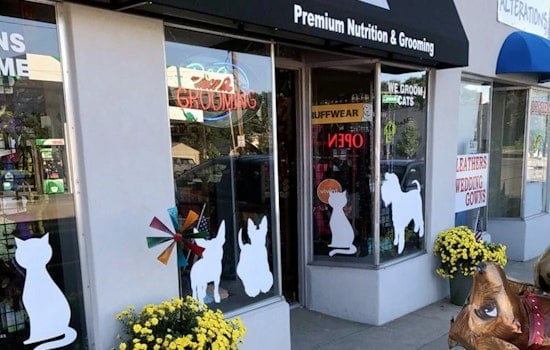 Dog Groomer 'Urban Dogg' Now Open In Washington Park