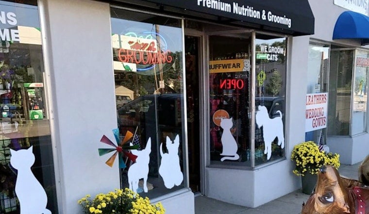 Dog Groomer 'Urban Dogg' Now Open In Washington Park