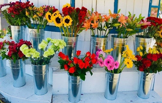 Here are the 3 freshest new businesses to launch in San Diego