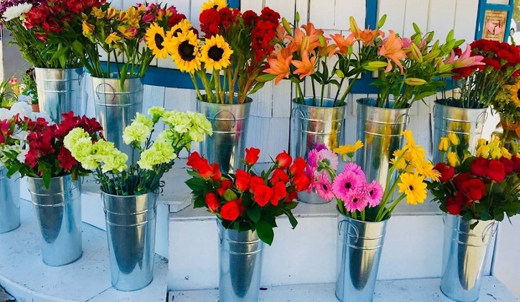 Here are the 3 freshest new businesses to launch in San Diego