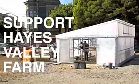 Hayes Valley Farm Needs Your Help. Like, Right Now.