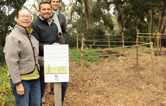 City Opens Carbon Sequestration Test Site In Buena Vista Park
