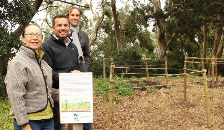 City Opens Carbon Sequestration Test Site In Buena Vista Park