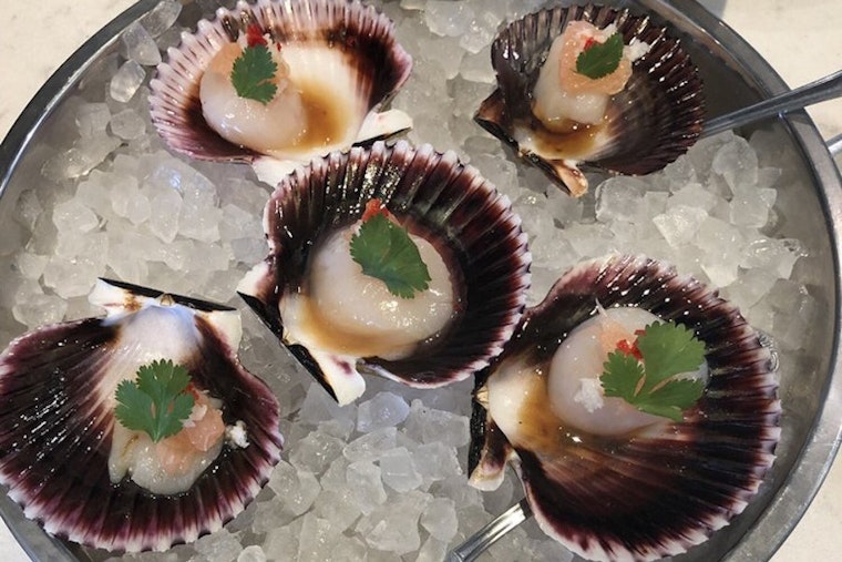 Score seafood and more at Century City's new Shuck House