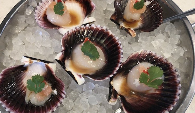 Score seafood and more at Century City's new Shuck House