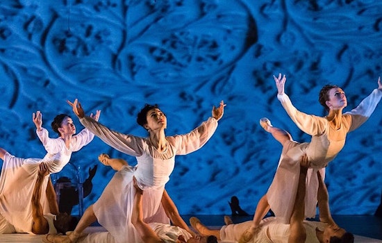 Oakland weekend: Dance festival, Elizabeth Warren town hall, Oakland Carnival, more