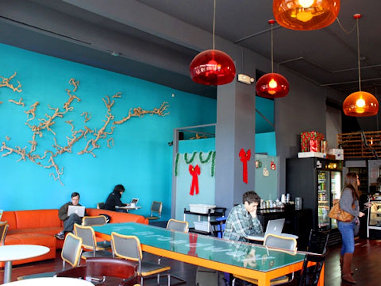 50% Off at Cafe Divis